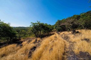 Goa Trek – Kuveshi to Anmod via Castlerock