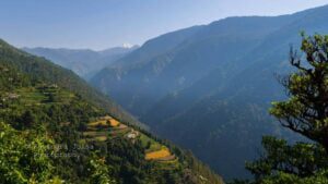 Lohajung Roopkund trek Bedni bugyal trek