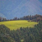 Didina village to Ali Bugiyal