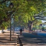 Panjim - YHA Goa trekking