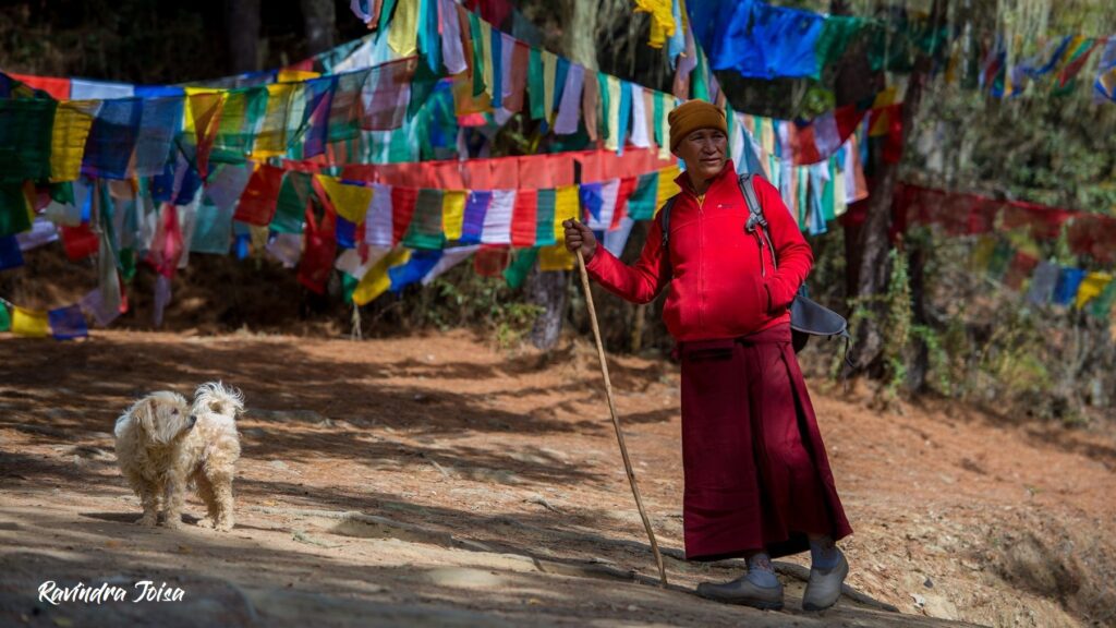 Monk and his dog are on the way to Tiger's Nest. Trail full of prayer flags.